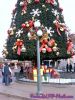 Filename=SV400068.jpg
Filesize=127KB
Dimensions=600x800
Date added=Nov 25, 2008 SV400068.jpg