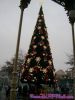 Filename=SV400207.jpg
Filesize=77KB
Dimensions=600x800
Date added=Dec 23, 2008 SV400207.jpg